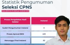 Pengumuman Hasil Seleksi CPNS 2024 Dimulai Besok, Sebegini Instansi yang Siap - JPNN.com