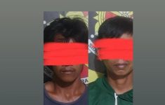 2 Pelaku Pencurian Kelapa Sawit di Kebun PT. SBAL Ditangkap - JPNN.com