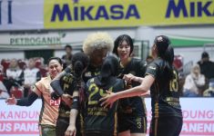 Proliga 2025: Link Live Streaming Gresik Petrokimia Vs Electric PLN Sore Ini! - JPNN.com