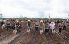 Polda Kalteng Tanam Jagung di Lahan 1.200 Hektare Untuk Dukung Asta Cita - JPNN.com