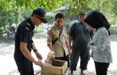 Bea Cukai dan BSI Buka Jalan Bagi UMKM Produsen Madu di Karimun Agar Bisa Ekspor - JPNN.com