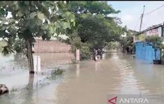 Banjir Merendam Ratusan Hektare Sawah di Sragen - JPNN.com