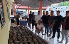 Bongkar Perdagangan Satwa Dilindungi di Riau, Polisi Temukan Ribuan Belangkas - JPNN.com