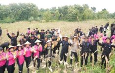 Panen Raya Jagung, Brimob Polda Jateng Ingin Berkontribusi Mendukung Program Prabowo - JPNN.com