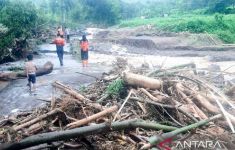 Diterjang Banjir, Jembatan Antardusun di Situbondo Terputus, Ratusan KK Terisolasi - JPNN.com