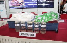 Polisi Gagalkan Penyelundupan 11.543 Benih Lobster yang Hendak Dibawa ke Singapura - JPNN.com