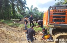 Polisi Tangkap Penggarap Hutan Lindung di Inhu, 1 Orang Jadi Tersangka - JPNN.com