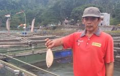 Ribuan Ikan Keramba di Telaga Ngebel Ponorogo Mati Mendadak - JPNN.com