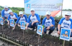 ACC Tanam Seribu Bibit Mangrove di Denpasar - JPNN.com