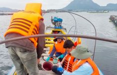 KKP Turunkan Tim Selidiki Kematian 100 Ton Ikan di Waduk Jatiluhur - JPNN.com