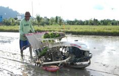 Tokoh Pemuda Papua Gifli Buiney Dukung Program Ketahanan Pangan Nasional - JPNN.com