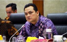 Martin Manurung DPR Minta Pemerintah Segera Selesaikan Konflik Antara PT TPL dan Masyarakat Adat - JPNN.com