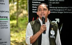 Menhut Kembalikan Sepasang Kucing Emas ke Habitatnya di TN Gunung Leuser - JPNN.com