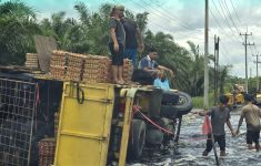 Truk Bermuatan 8 Ton Telur Terbalik di Jalintim Pangkalan Kerinci, Ini Dugaan Penyebabnya - JPNN.com