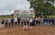 Gandeng Polri, PalmCo Optimalkan Lahan Replanting Sawit untuk Tanam Jagung - JPNN.com