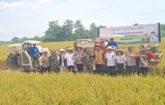 Tinjau Panen Raya di Klaten, Marga Taufiq Pastikan Bulog Serap Gabah Petani Sesuai HPP - JPNN.com