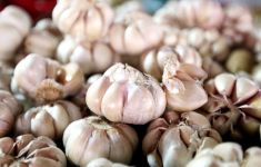 Turunkan Kolesterol dengan Rutin Mengonsumsi 7 Ramuan Alami Ini - JPNN.com