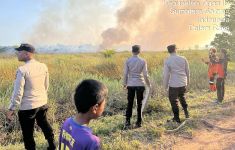 2 Hektare Lahan Gambut di Palem Raya Ogan Ilir Terbakar, Tim Gabungan Terjun Lakukan Pemadaman - JPNN.com