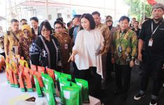 Wamen PPPA Dorong Kesetaraan Perempuan Lewat Pemberdayaan Ekonomi Keluarga - JPNN.com