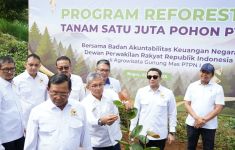 Melalui Program Tanam Sejuta Pohon, BAKN DPR dan PTPN I Hijaukan Puncak Bogor - JPNN.com