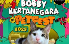 Bobby, Kucing Presiden Prabowo Jadi Juri di Petfest Indonesia 2025 - JPNN.com
