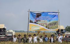 Bulog Terapkan Teknologi Biostimulan, Produksi Padi di Karawang Naik 2 Kali Lipat - JPNN.com
