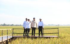Stok Bulog Selama 4 Bulan Capai 3,5 Juta Ton, Terbesar Sejak Indonesia Merdeka - JPNN.com