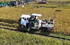 Gelar Panen Raya di Purbalingga, BAZNAS Dorong Kemandirian Petani Mustahik - JPNN.com