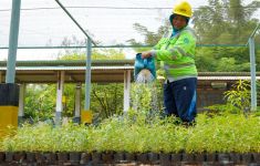Program Keberlanjutan SIG Menyerap 20 Ribu Tenaga Kerja - JPNN.com