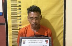Tak Berkutik, Pengangguran Perkosa IRT, Ditangkap Polres Inhu Setelah Beraksi - JPNN.com