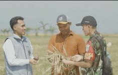 BULOG Serap 2.000.524 Ton Setara Beras, Stok Nasional Tembus 3,6 Juta Ton - JPNN.com