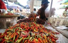 Menjelang Libur Imlek, Harga Cabai di Pasar Induk Ini Alami Penurunan - JPNN.com