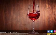 5 Manfaat Rutin Minum Wine, Bantu Cegah Serangan Penyakit Ini - JPNN.com