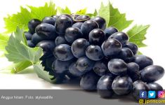 5 Khasiat Anggur Hitam yang Ampuh Lindungi Tubuh dari Penyakit Ganas Ini - JPNN.com