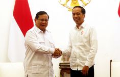 Jokowi Wariskan Masalah Birokrasi, Prabowo Harus Bertindak Lebih Berani - JPNN.com