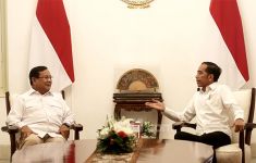 Jokowi-Prabowo Dinilai Mampu Solidkan Koalisi Pemerintahan Baru - JPNN.com