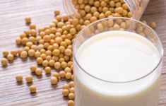 6 Manfaat Susu Kedelai, Bikin Kolesterol Ambyar - JPNN.com