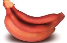 10 Manfaat Pisang Merah yang Luar Biasa - JPNN.com