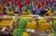 MPKI: Kepala Daerah Bertanggung Jawab Melindungi Ekosistem Pertembakauan Nasional - JPNN.com