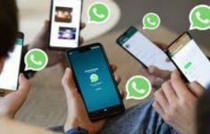 WhatsApp Menguji Fitur Baru dalam Pengelolaan Kontak - JPNN.com