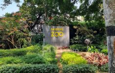 Begini Langkah Pemkot Cari Pengelola Baru Bandung Zoo - JPNN.com