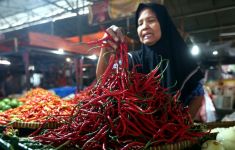 Cabai Rawit Masih Rp 89.400 Per Kilogram, Harga Bawang Putih Makin Tinggi - JPNN.com