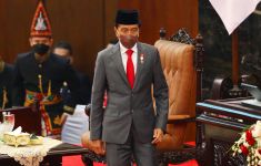 Jokowi Bakal Datangi Papua Bulan Depan, Apa Agendanya? - JPNN.com