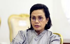 Tokoh Ini Khawatir Menkeu Sri Mulyani Mengundurkan Diri - JPNN.com