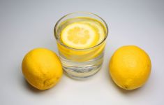 5 Khasiat Teh Lemon Campur Jahe, Bantu Jaga Kesehatan Ovarium Wanita - JPNN.com