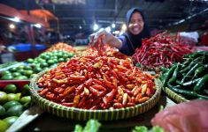 Seusai Minyak Goreng, Harga Cabai Rawit hingga Bawang Merah Naik - JPNN.com