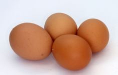 10 Khasiat Rutin Makan Telur Rebus, Bikin Hubungan Ranjang Makin Panas - JPNN.com
