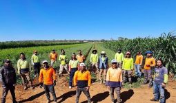 Warga Timor Leste Bisa Menjadi Jawaban Kekurangan Pekerja di Sektor Pertanian di Australia - JPNN.com