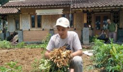 Perubahan Iklim Berdampak Pada Petani Muda Indonesia, Terutama Gagal Panen yang Besar - JPNN.com