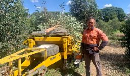 Petani di Australia Mencoba Kemungkinan Pembangkit Listrik dari Pohon - JPNN.com